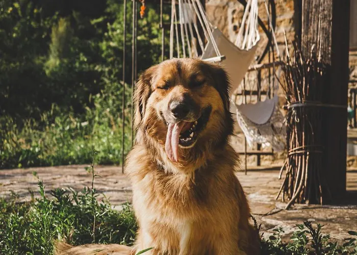 Il Giardino Degli Alberi Maestri Фермерский дом Bettola (Emilia-Romagna)