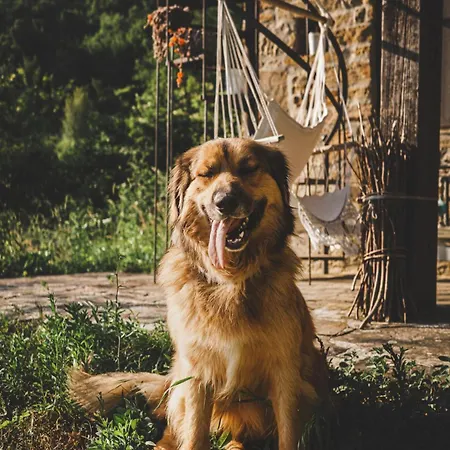 Il Giardino Degli Alberi Maestri 팜스테이 Bettola (Emilia-Romagna)