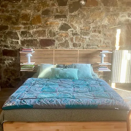 Il Giardino Degli Alberi Maestri *