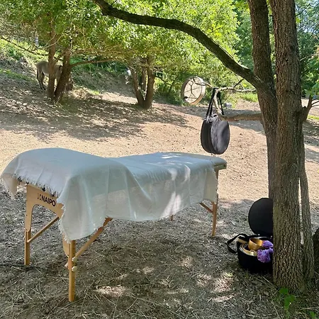 Il Giardino Degli Alberi Maestri Bettola (Emilia-Romagna)
